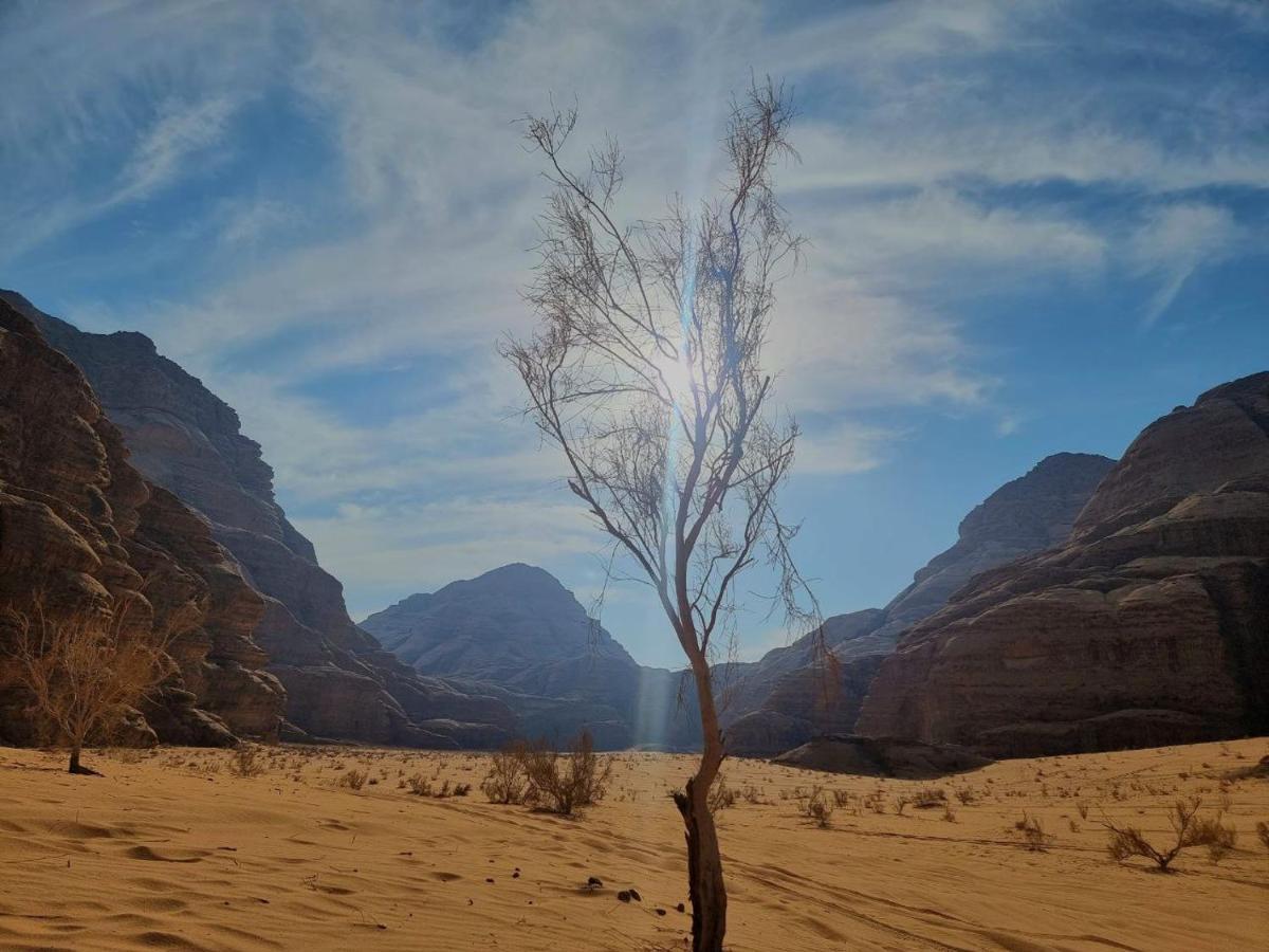 Wadi Rum Oscar Camp 외부 사진